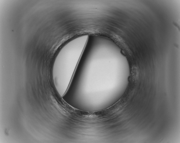 X0000102850212200808181054