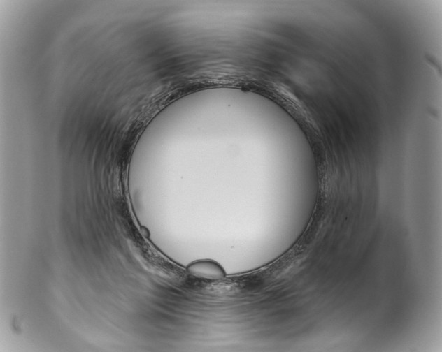 X0000102850213200808181054