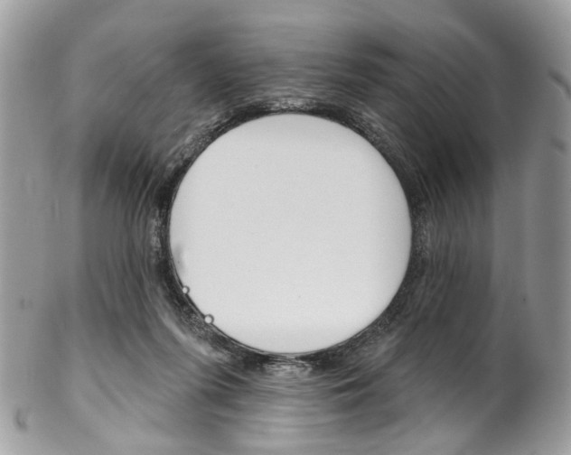 X0000102850215200808181054