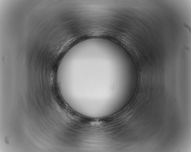X0000102850216200808181054