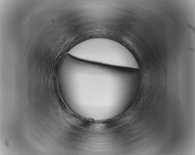 X0000102850217200808181054