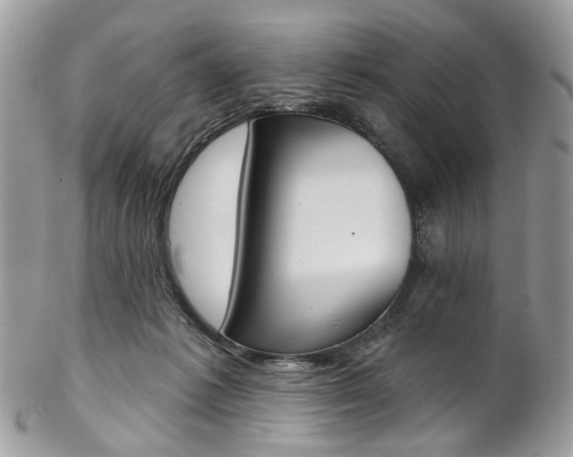 X0000102850221200808181054