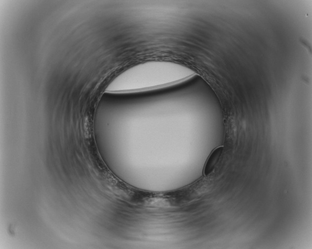 X0000102850224200808181054