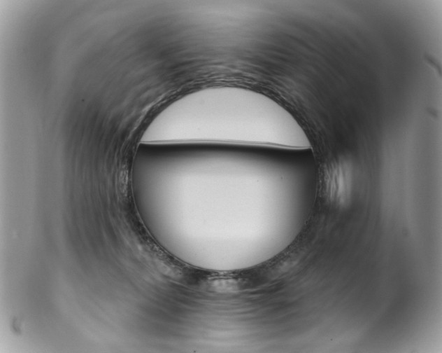 X0000102850228200808181054
