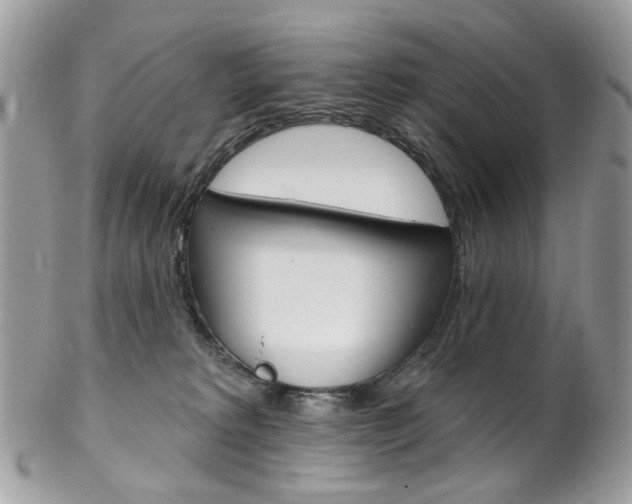 X0000102850229200808181054