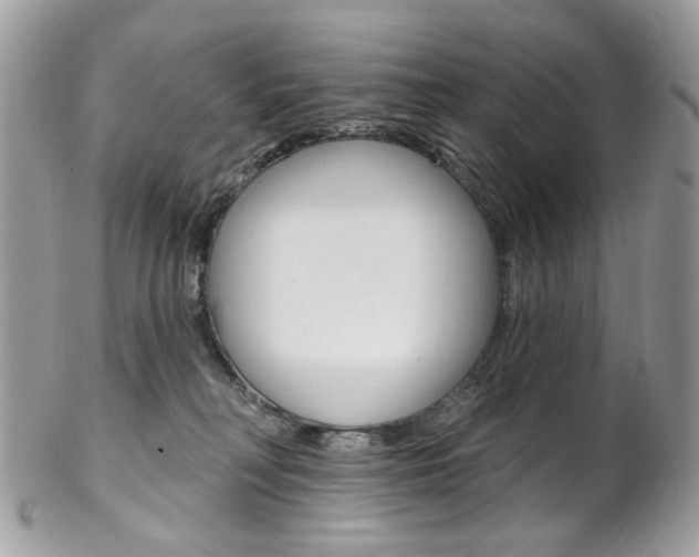 X0000102850230200808181054