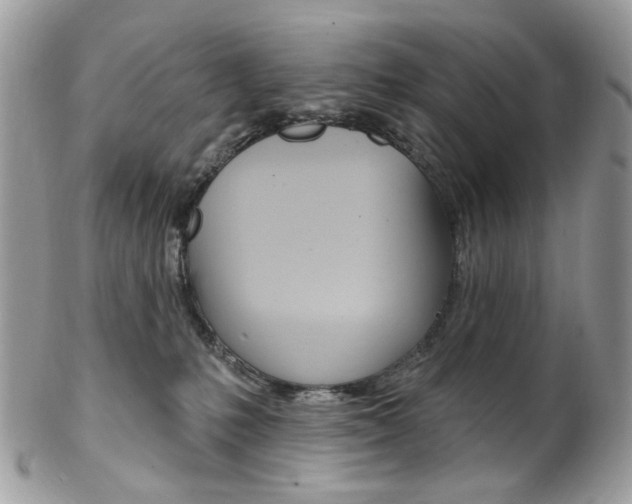 X0000102850231200808181054
