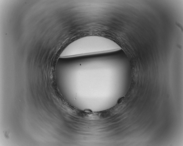 X0000102850232200808181054