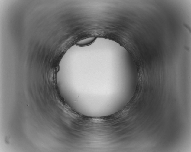 X0000102850233200808181054