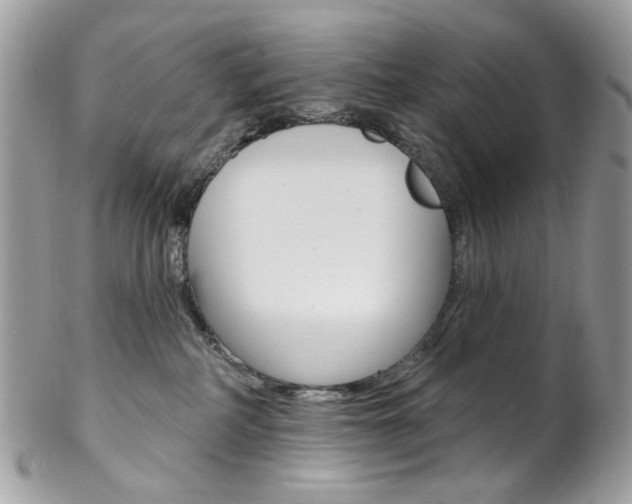 X0000102850234200808181054