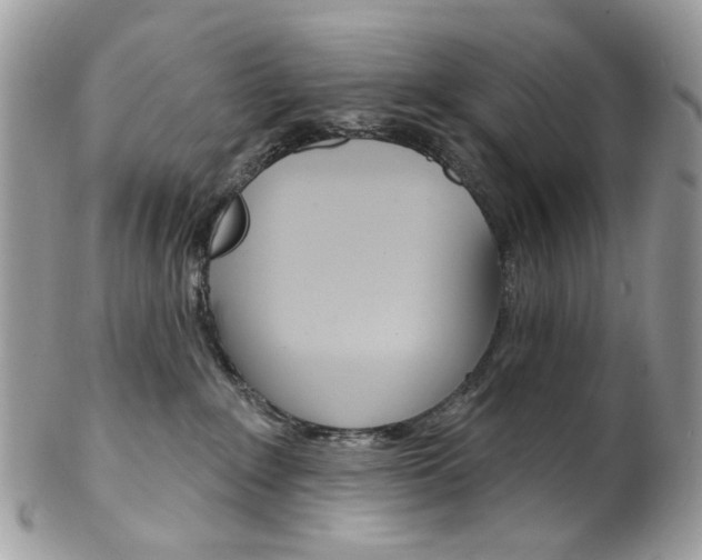 X0000102850235200808181054