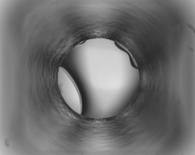 X0000102850236200808181054