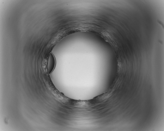 X0000102850237200808181054