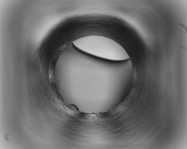 X0000102850239200808181054