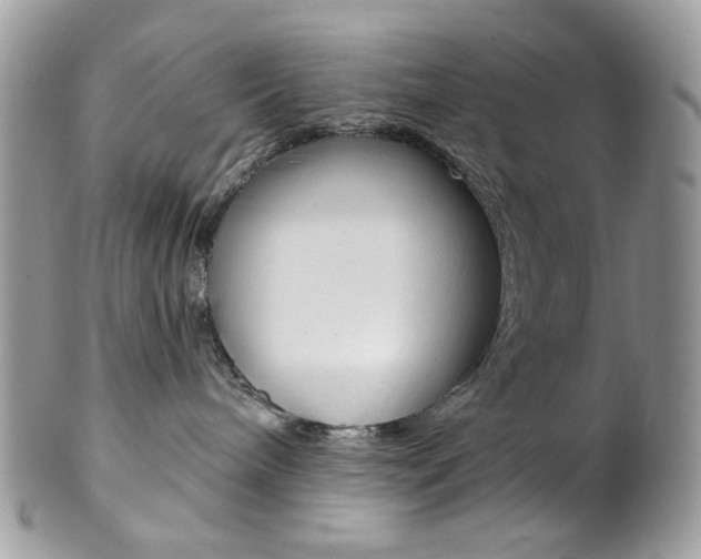 X0000102850240200808181054