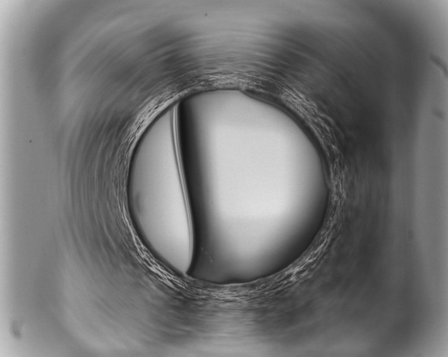 X0000102850241200808181053