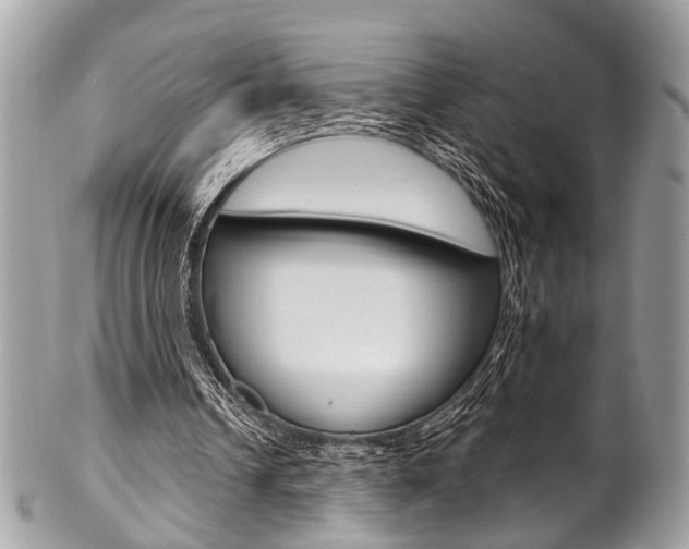 X0000102850242200808181053