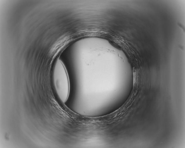 X0000102850243200808181053