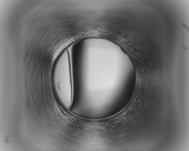 X0000102850244200808181053