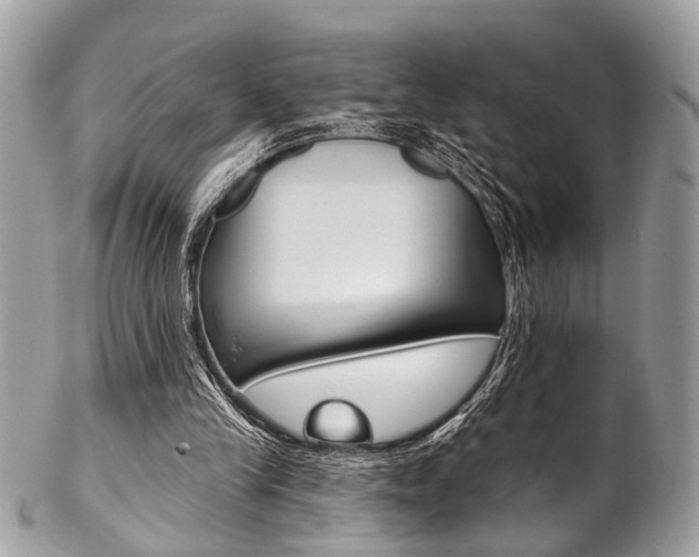 X0000102850245200808181053