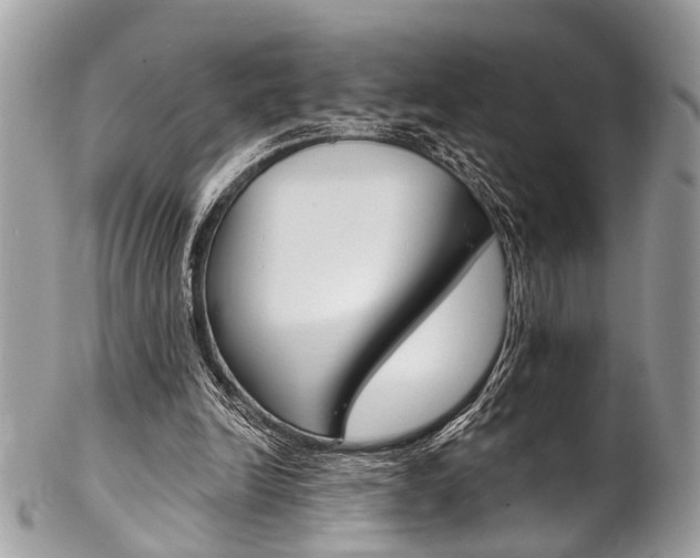 X0000102850246200808181053