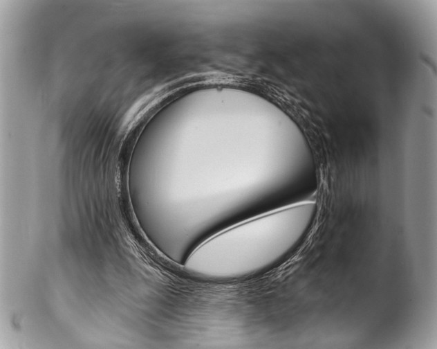 X0000102850247200808181053
