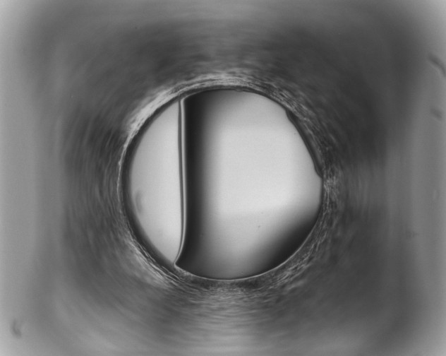 X0000102850248200808181053