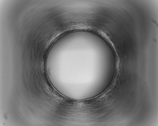 X0000102850249200808181053