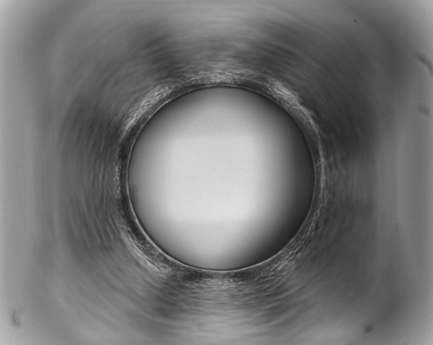 X0000102850250200808181053