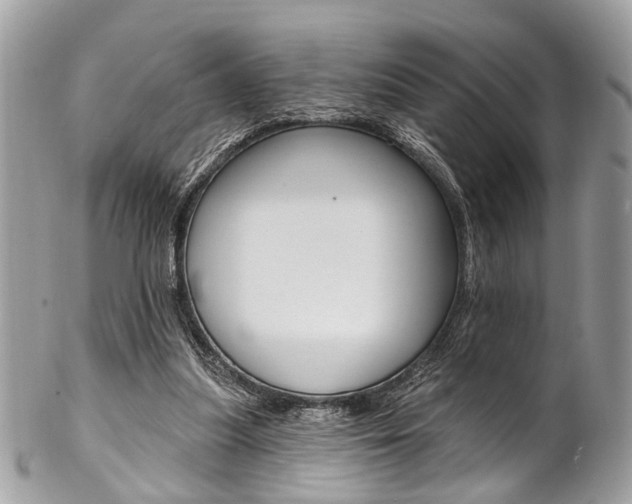 X0000102850251200808181053