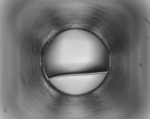 X0000102850253200808181053