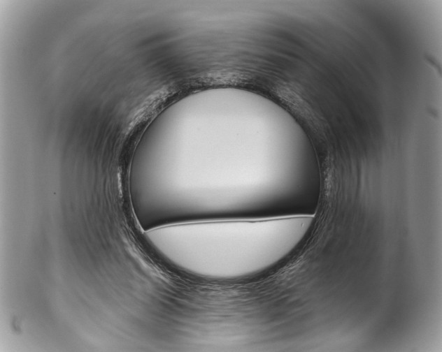X0000102850254200808181053