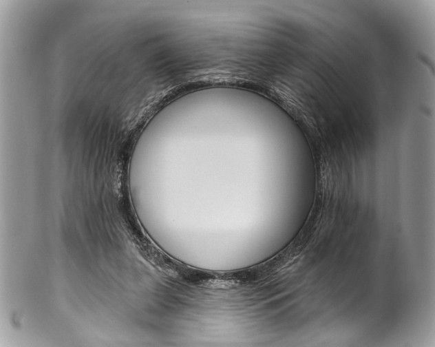 X0000102850255200808181053