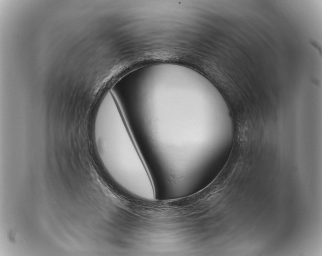 X0000102850256200808181053
