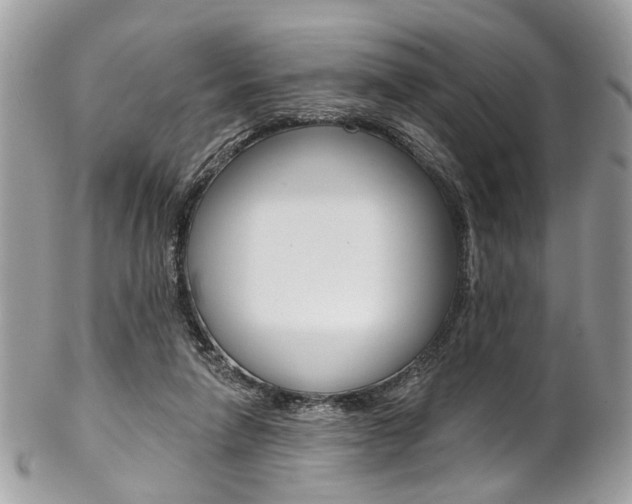 X0000102850258200808181053