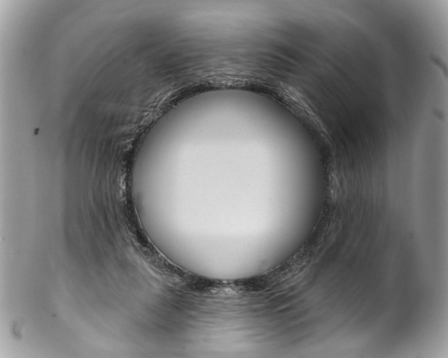 X0000102850259200808181053