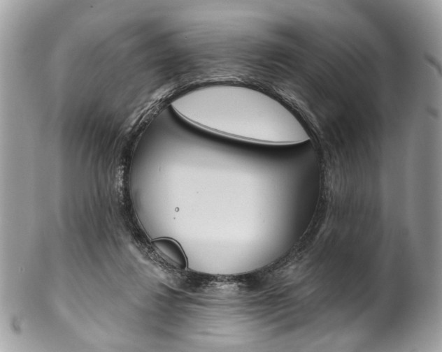 X0000102850260200808181053
