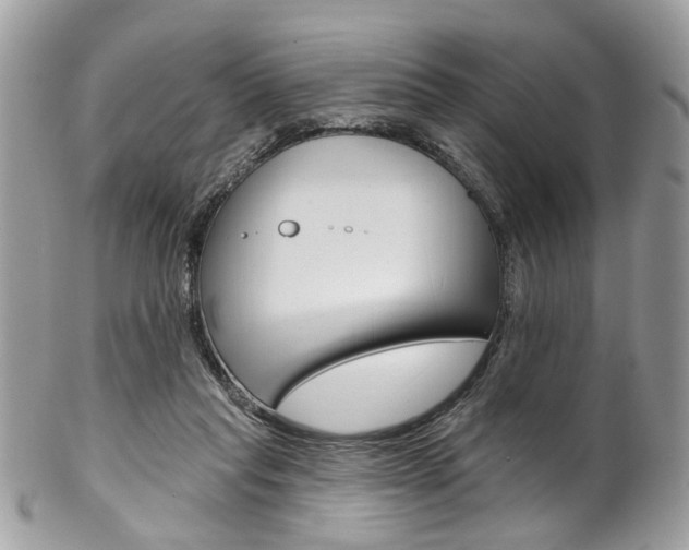 X0000102850261200808181053