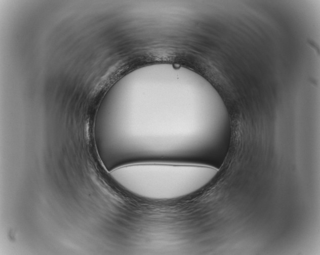 X0000102850262200808181053