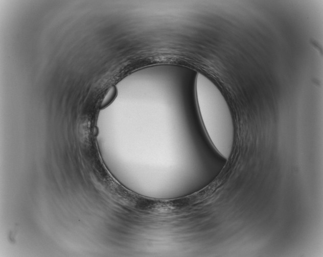 X0000102850263200808181053