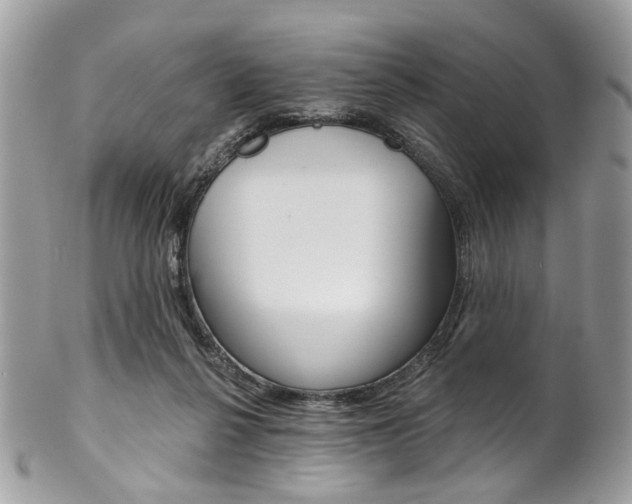 X0000102850264200808181053