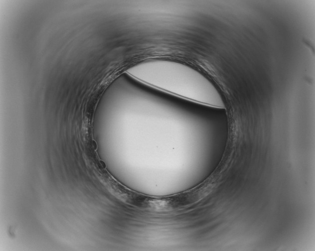 X0000102850265200808181053