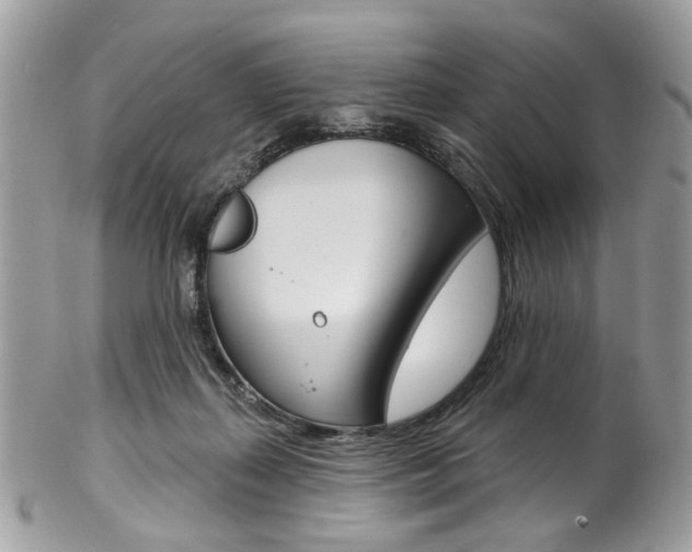 X0000102850267200808181053