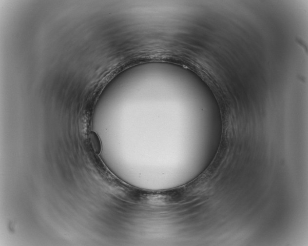 X0000102850268200808181053