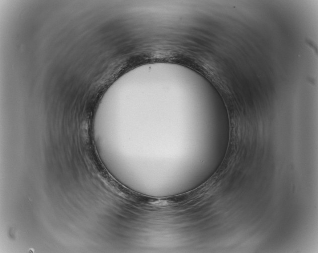 X0000102850269200808181053