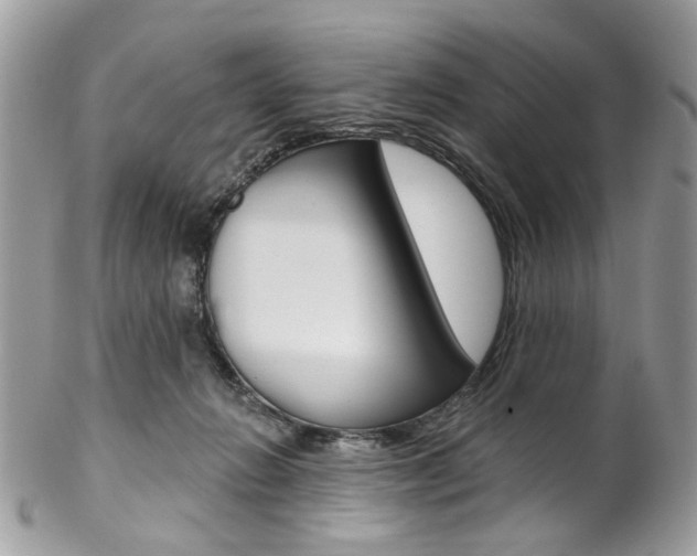 X0000102850270200808181053