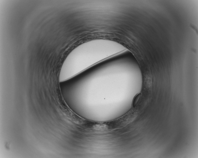 X0000102850271200808181053