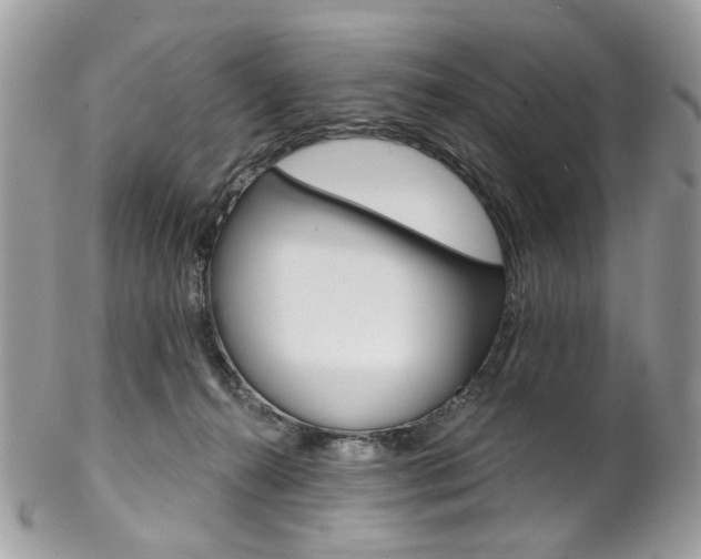 X0000102850272200808181053