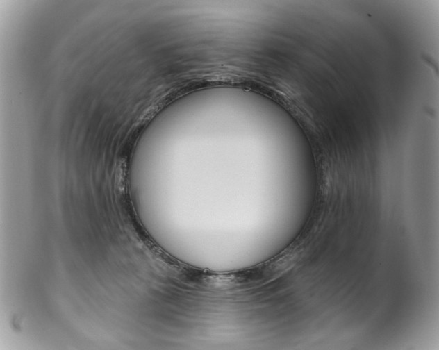 X0000102850273200808181053