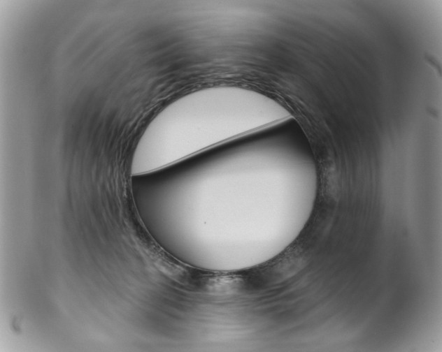 X0000102850274200808181053